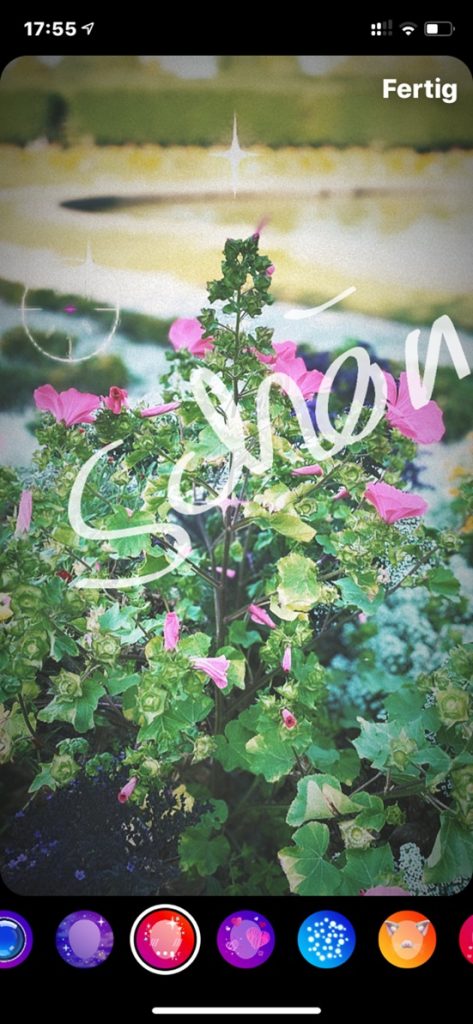 Motiv Foto für Instagram Story von einer Blume mit der Beschriftung des Wortes "schön"