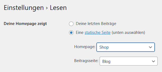 Abbildung - Der Shop auf der Startseite 