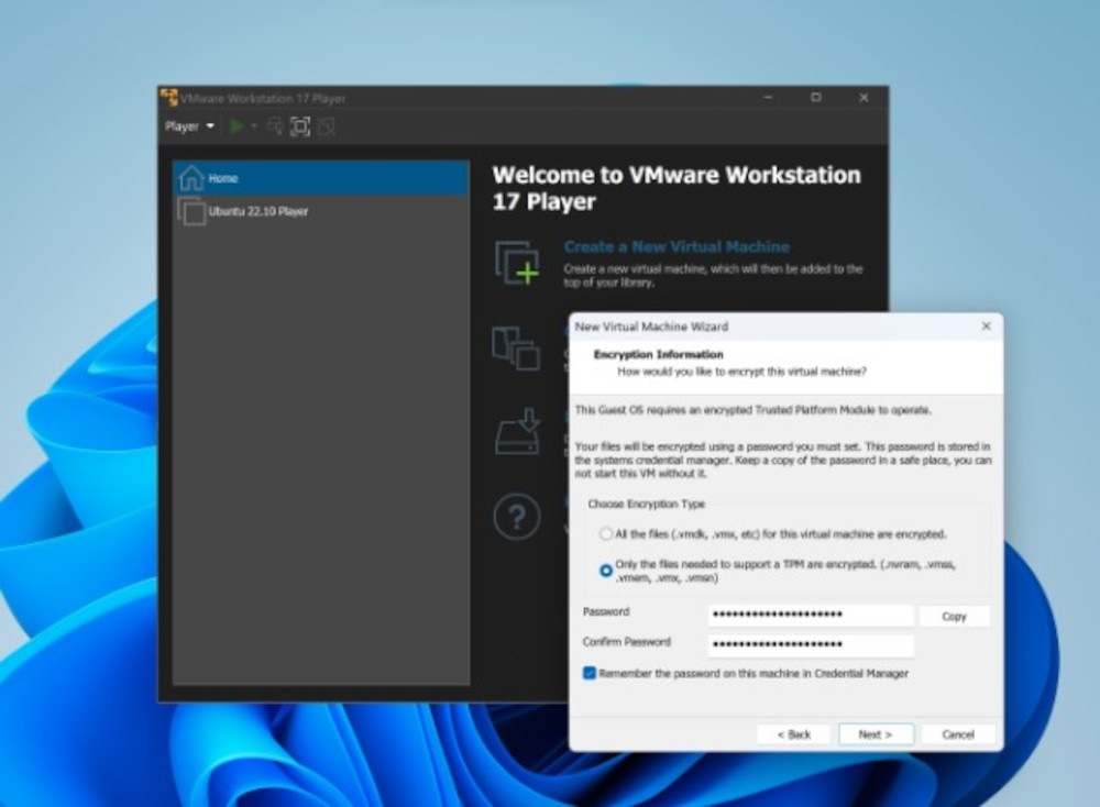 Abbildung: VMware Workstation 17 Pro hat VMware Workstation Player abgelöst.