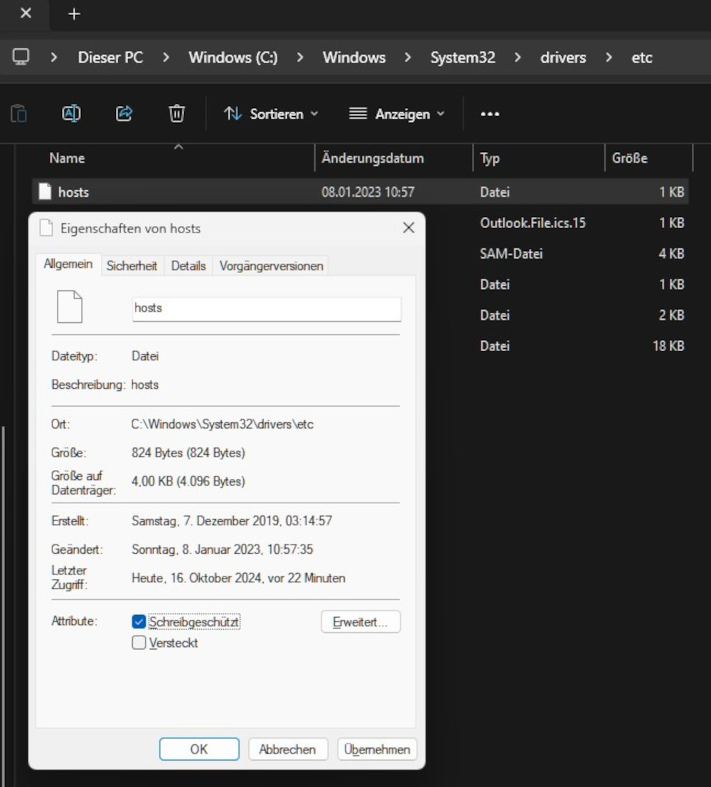 Abbildung: Der aktivierte Schreibschutz schützt die Datei vor Änderungen durch unbefugte Dritte.
